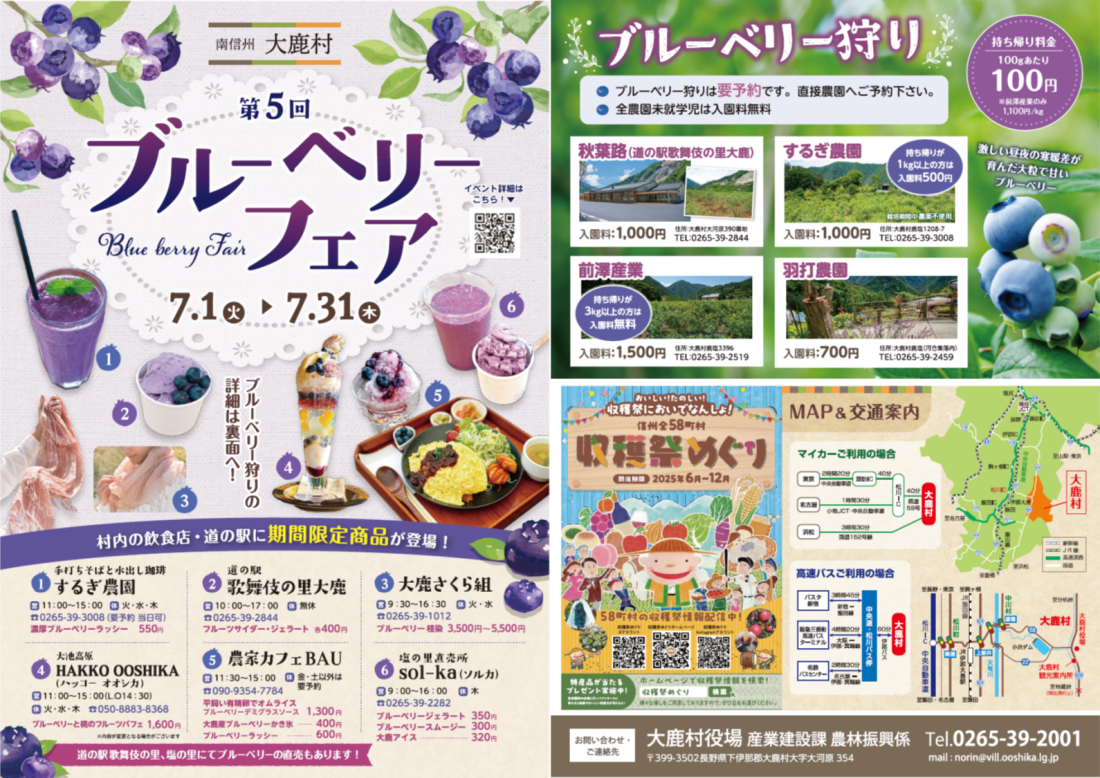 ブルーベリーフェアの写真