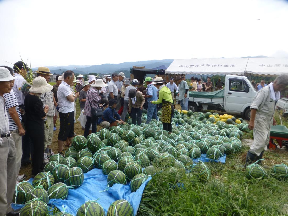 神戸すいか祭りの写真