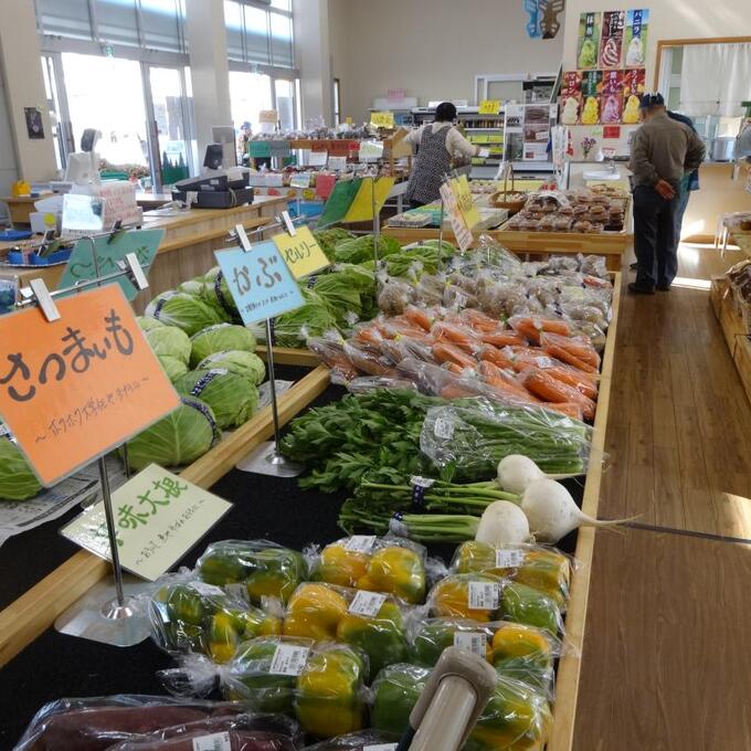 根菜まつりの写真