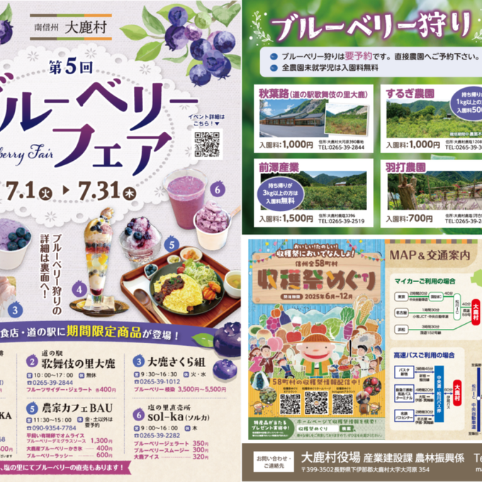 ブルーベリーフェアの写真