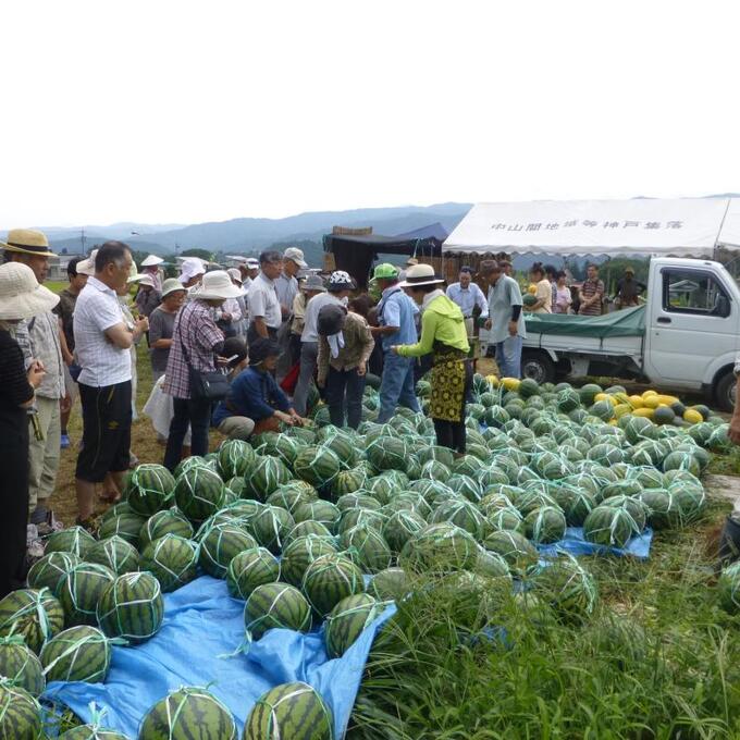 神戸すいか祭りの写真