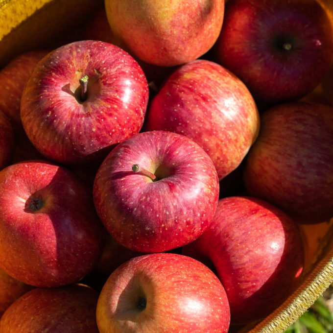 もなりん「りんご祭り」の写真